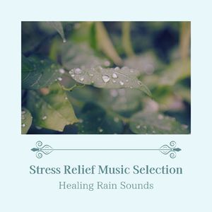 のんびりタイム～自然音で眠りたい～