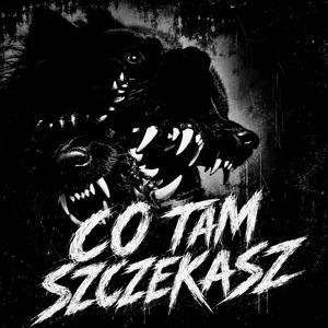 CO TAM SZCZEKASZ