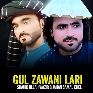 Gul Zawani Lari