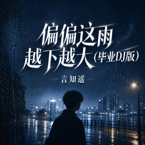偏偏这雨越下越大(毕业DJ版)