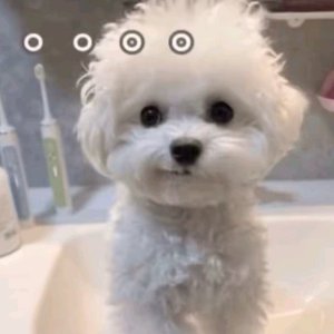 卢权道歉