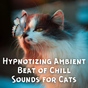 Purrfectly Calm