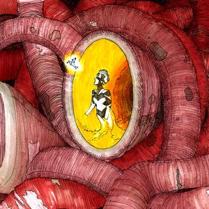 猫头鹰怎么全都消失了?