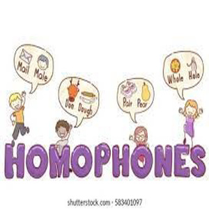 Anthony and Matthew Homophone Rap