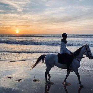 Волки_(dj-alim remix）