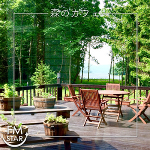 静けさの織り成す影