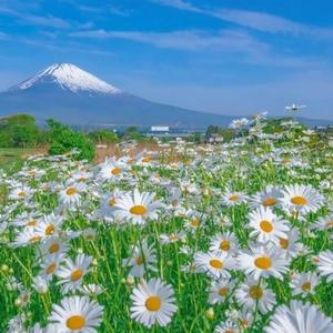 一起仰望星空吧