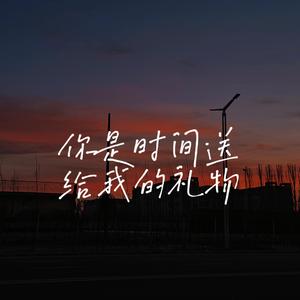 你是时间送给我的礼物
