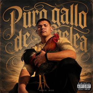 Puro Gallo de Pelea
