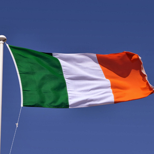 Brave Ireland (feat. Erin Carlin)