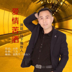 爱情苦酒 (男声版)