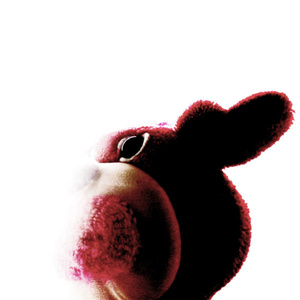 Such A Perfect Thing