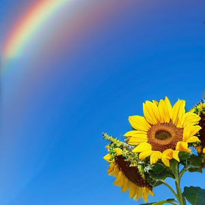 《青春海岸冒险日记》