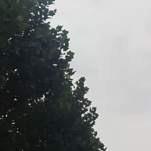 阴天