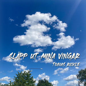 Släpp ut mina vingar