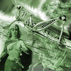 Your Roommate Is a Crack Smoking Whore