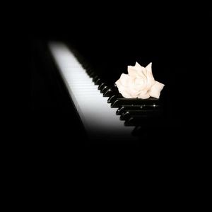 八月二十九 轻烟大叔 烟嗓翻唱 live