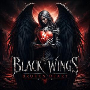 Black Wings Broken Heart