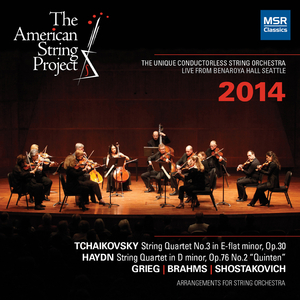 String Quartet No. 3 in E-Flat Minor, Op. 30: I. Andante sostenuto. Allegro moderato (Arranged for Strings by Barry Lieberman)