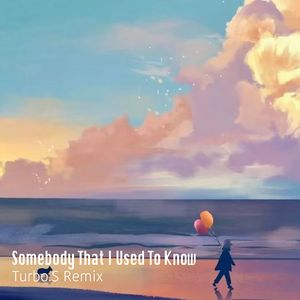 Somebody That I Used To Know (Turbo.S Remix)