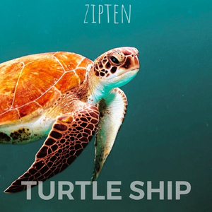 Turtle Ship