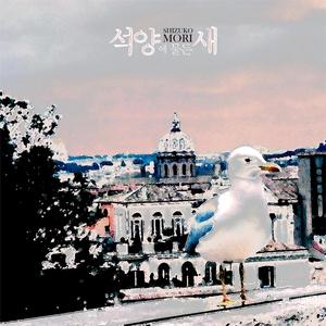 석양에 물든 새