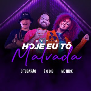 Hoje Eu Tô Malvada (Remix)