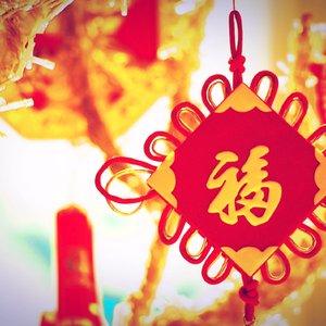 飘飘乐逍遥（翻自 舒岩）