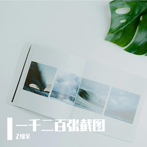 一千二百张截图