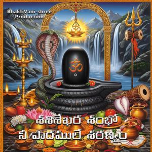 శశిశేఖర శంభో నీ పాదములే శరణ్యం (feat. ANIL CH)