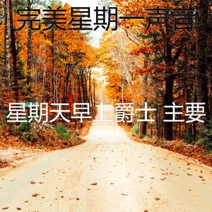 柔和的午餐时刻