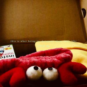 this is what being in christmas alone feels like