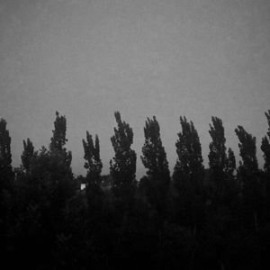 清晨是杀死梦的凶手。