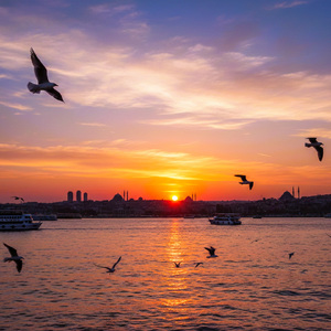 Huzur (Enstrümantal)