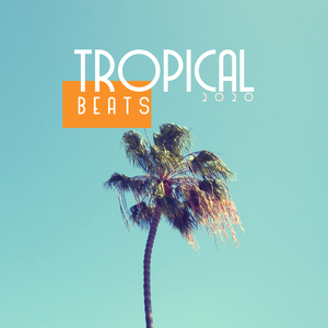 Tropical Chill House