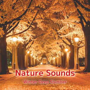 睡眠用BGM 鳥の声と森のギターセラピー