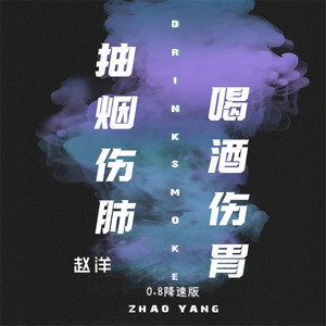 抽烟伤肺喝酒伤胃 (0.8降速版)