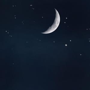 今晩はお月さん/月儿月儿晚上好