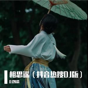 相思遥抖音热搜（DJ瑶妹remix）