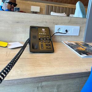 The Plot (Freestyle)