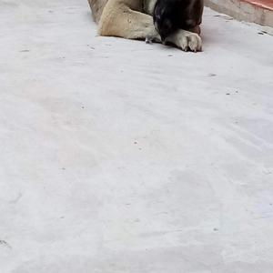 Hastanenin Kapısında Herkes ayrı bir umut taşıyor.