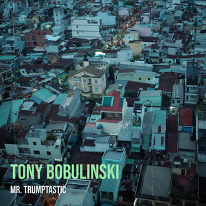 Tony Bobulinski