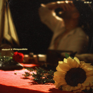 Debut y Despedida