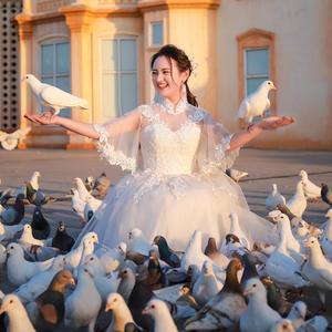 我想要一双翅膀