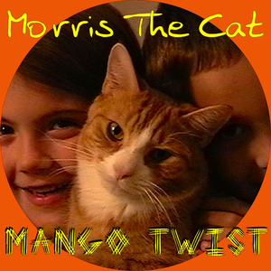 Morris the Cat
