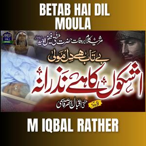 Betab hai dil moula