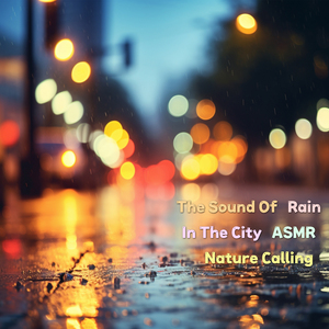 도시의 빗소리 ASMR