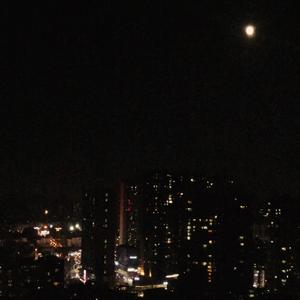 对你的爱犹如黑夜中的兽欲