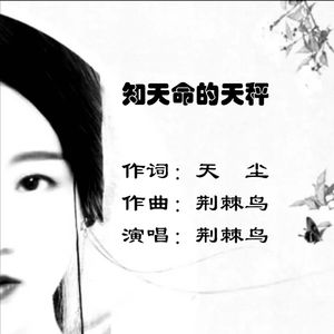 知天命的天秤