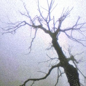 无人知晓的夜晚